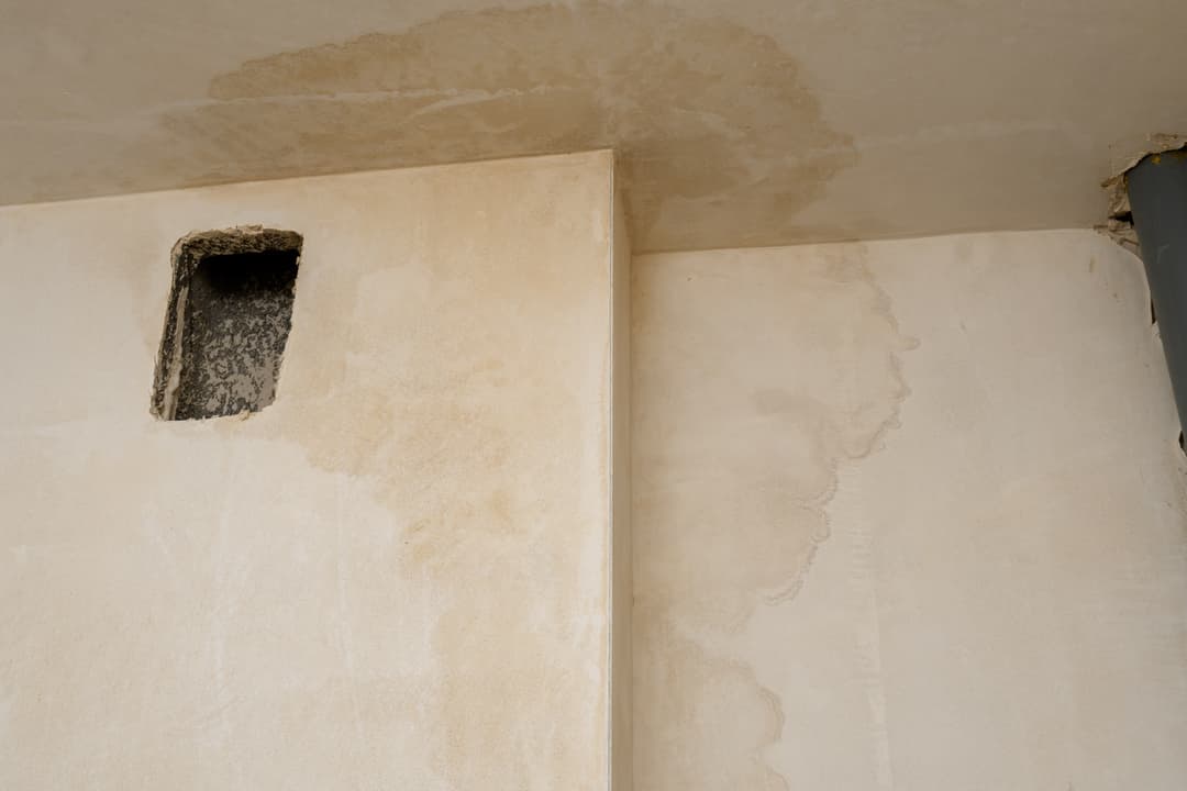 Wilgoć pod kontrolą – jak wykryć problem i dobrać osuszanie