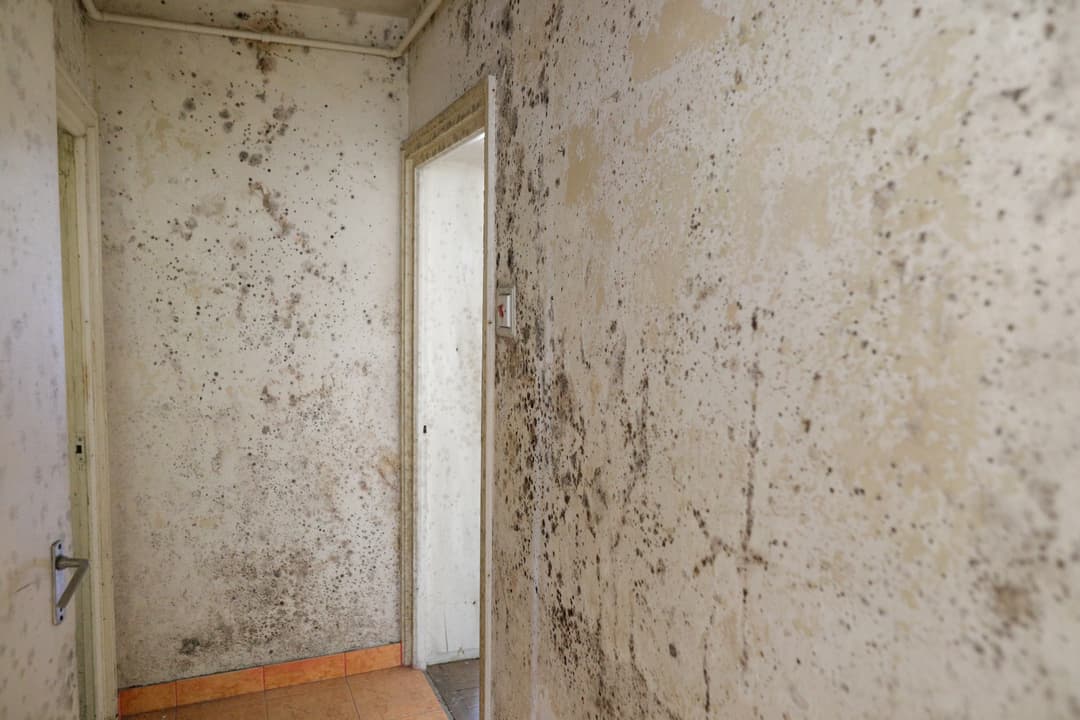 Jak dbać o zdrowie mieszkańców Kluczowe wymagania higieniczne i techniczne