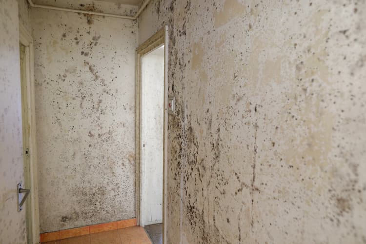 Jak dbać o zdrowie mieszkańców Kluczowe wymagania higieniczne i techniczne