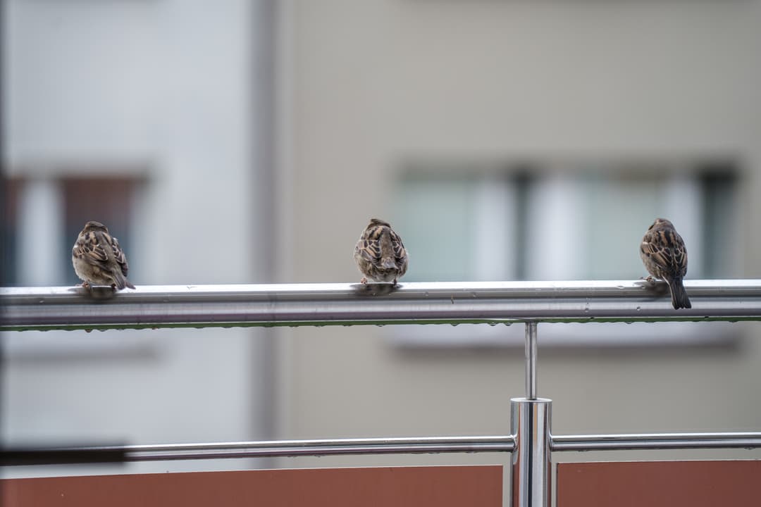 Wiosna w nieruchomościach