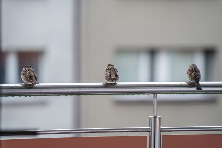 Wiosna w nieruchomościach