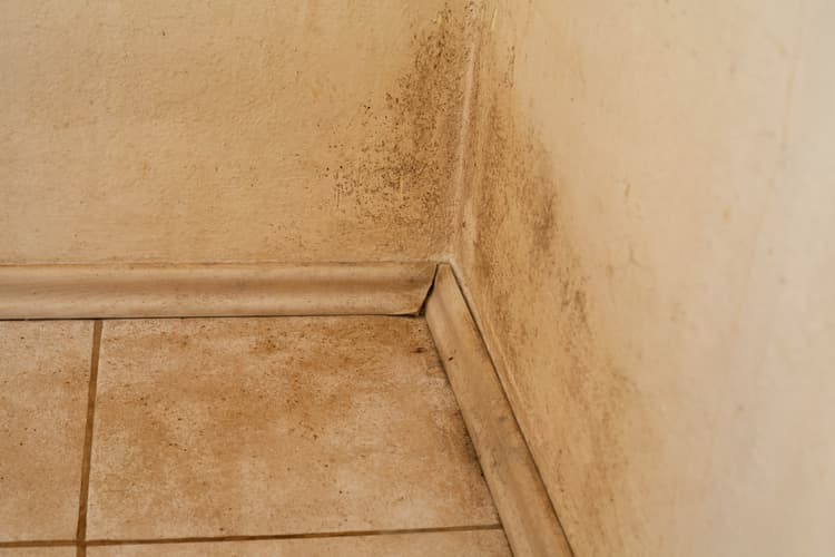 Wilgoć w domu – przyczyny, skutki i skuteczne metody osuszania